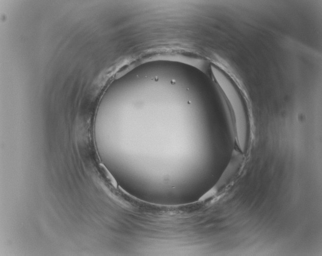 X0000053060105200508011924