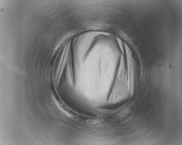 X0000053060106200508011924