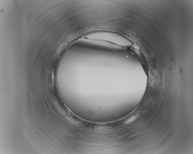 X0000053060109200508011924