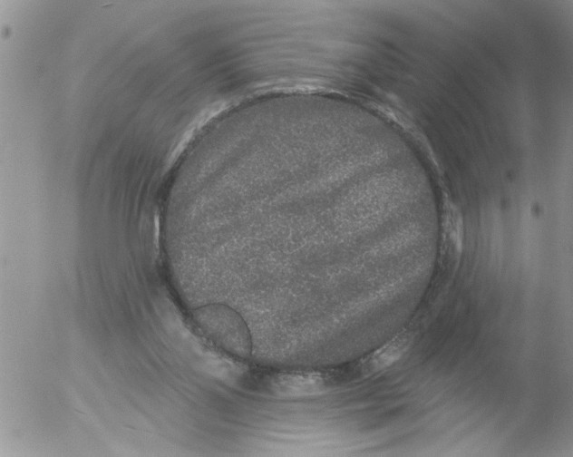 X0000053060110200508011924