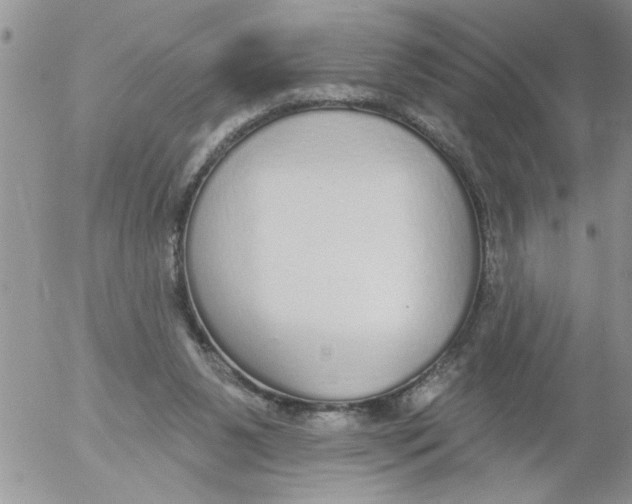 X0000053060111200508011924