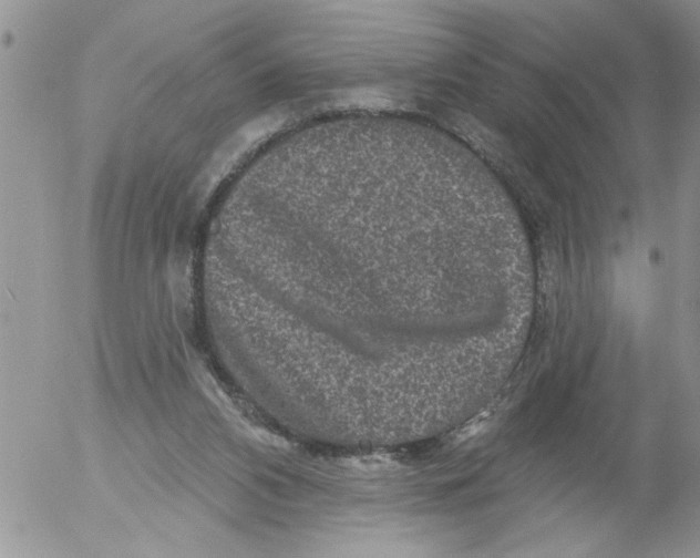 X0000053060112200508011924