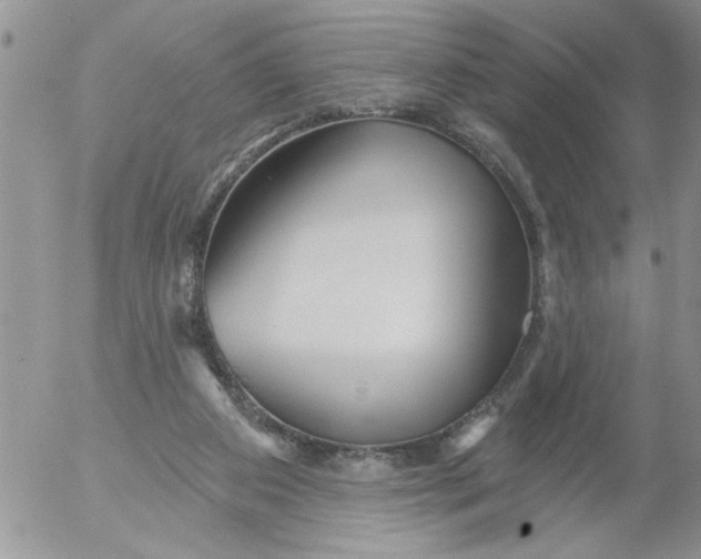 X0000053060113200508011924