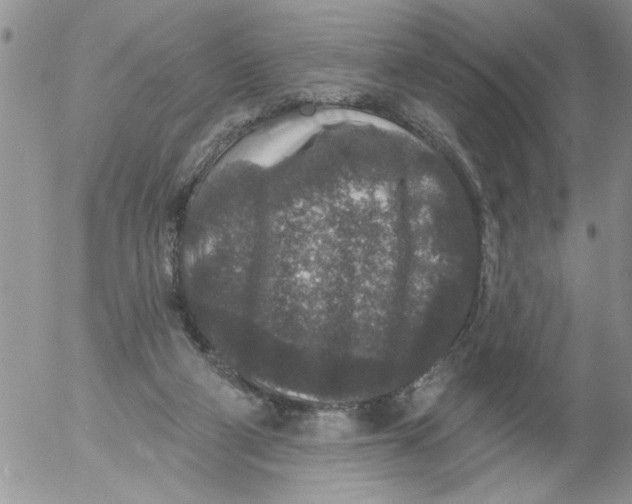 X0000053060114200508011924