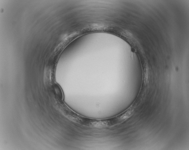 X0000053060115200508011924