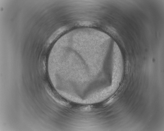 X0000053060116200508011924