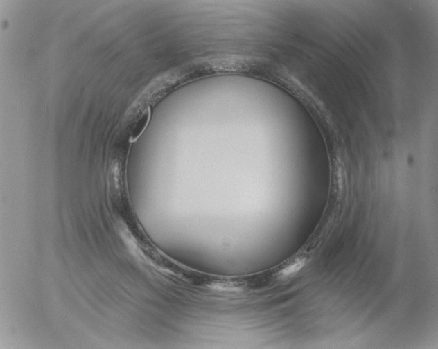 X0000053060117200508011924