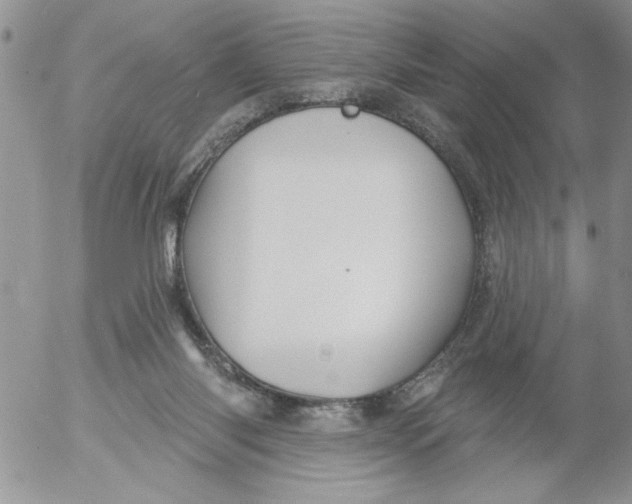 X0000053060118200508011924