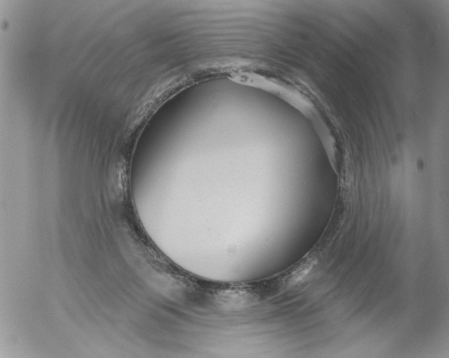 X0000053060119200508011924