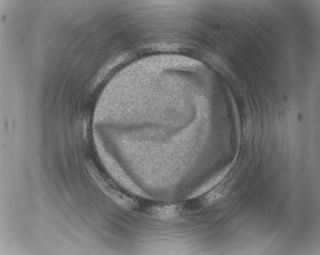 X0000053060120200508011924