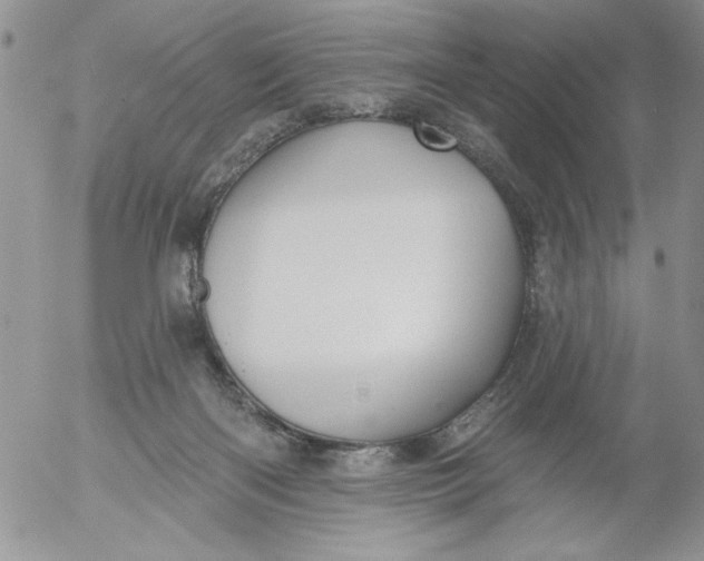 X0000053060122200508011924