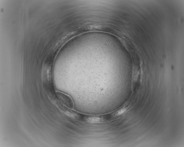 X0000053060123200508011924