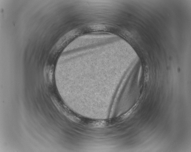 X0000053060124200508011924