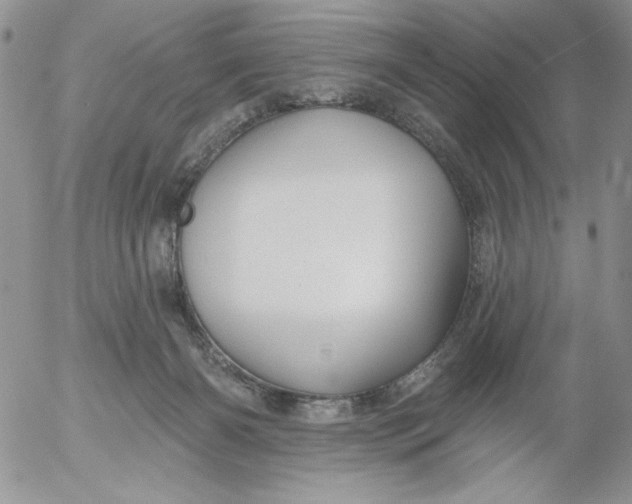 X0000053060126200508011924