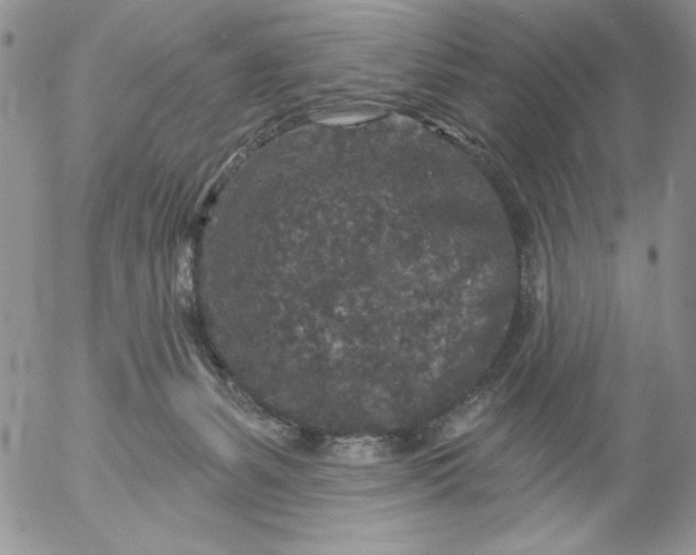 X0000053060127200508011924