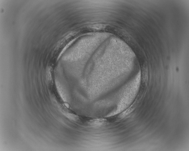 X0000053060128200508011924