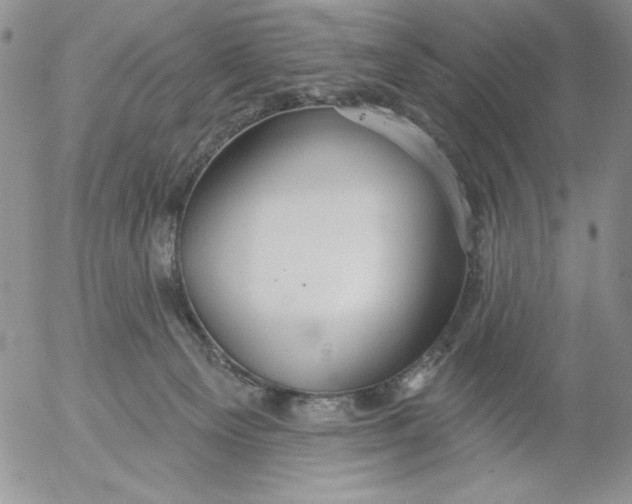 X0000053060129200508011924