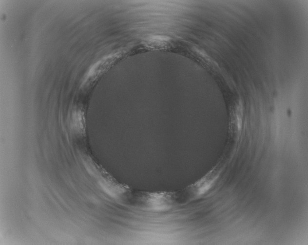 X0000053060130200508011924