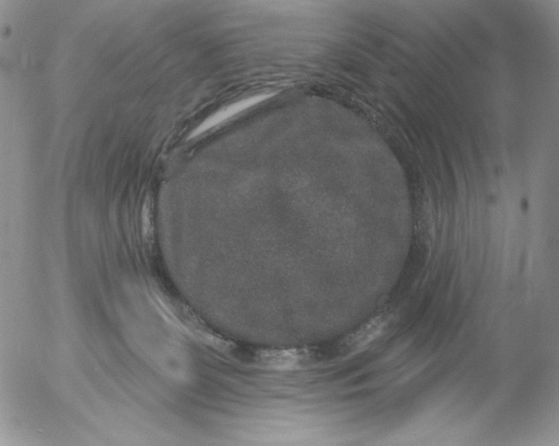 X0000053060131200508011924