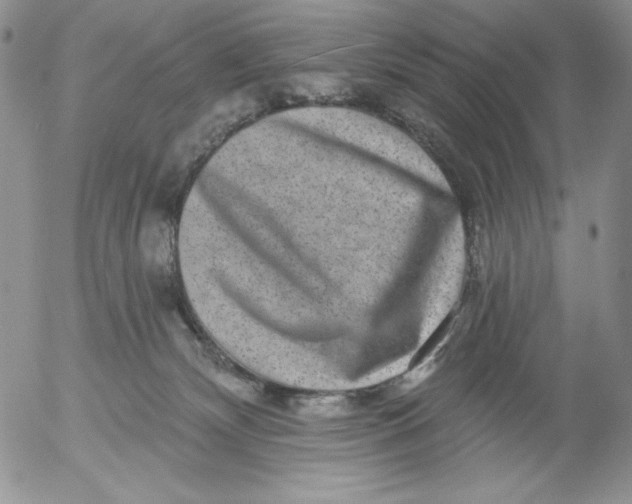 X0000053060132200508011924