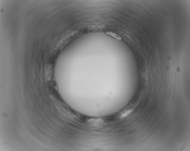 X0000053060133200508011924