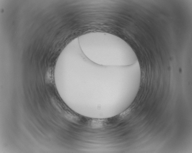 X0000053060134200508011924