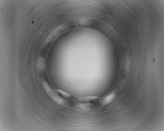 X0000053060135200508011924