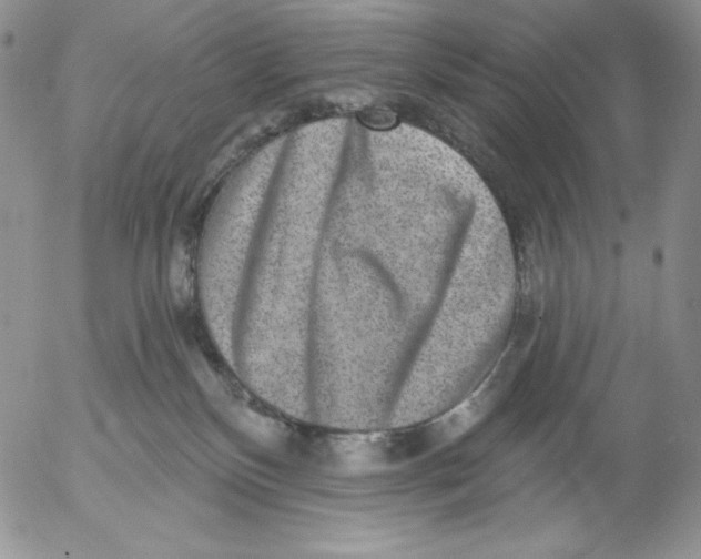 X0000053060136200508011924