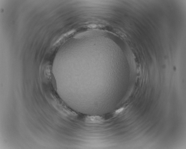 X0000053060137200508011924