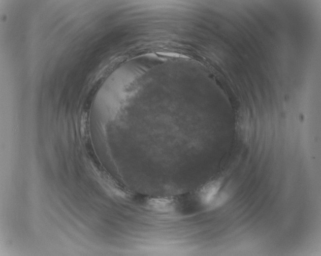 X0000053060139200508011924