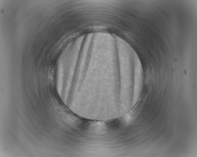 X0000053060140200508011924