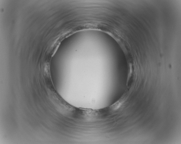 X0000053060141200508011924