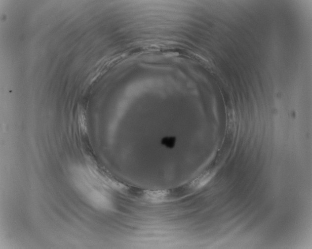 X0000053060143200508011924