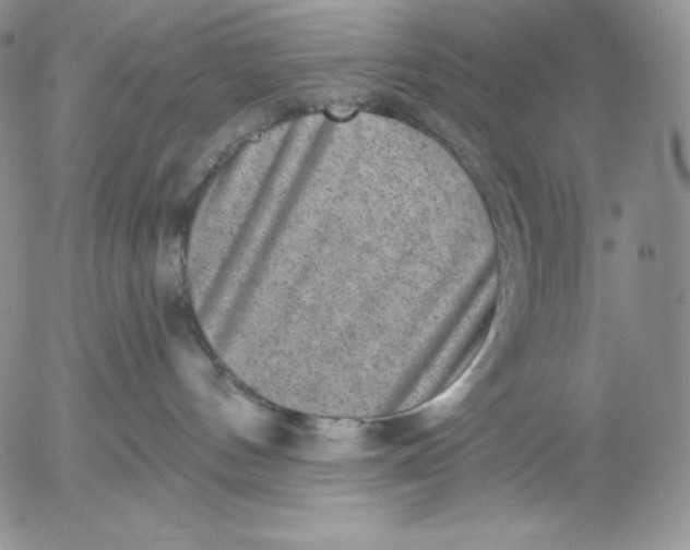 X0000053060144200508011924