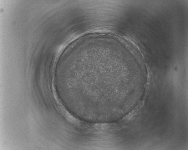 X0000053060145200508011923