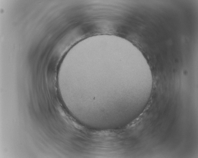 X0000053060146200508011923