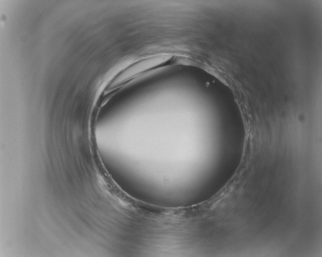 X0000053060148200508011923