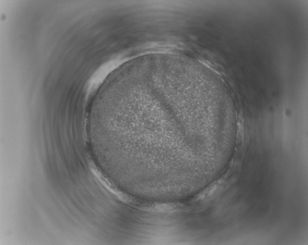 X0000053060149200508011923