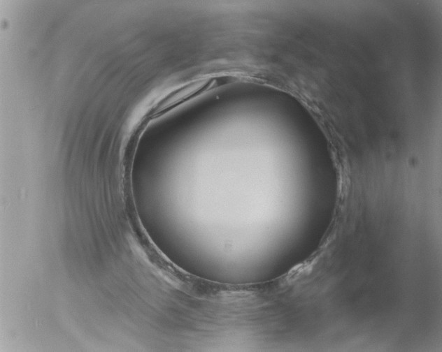 X0000053060150200508011923