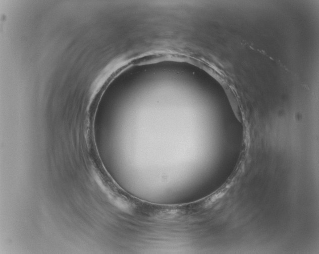 X0000053060152200508011923