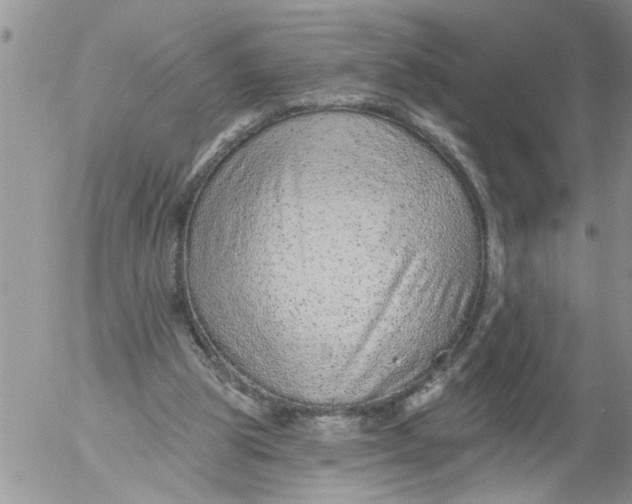 X0000053060153200508011923