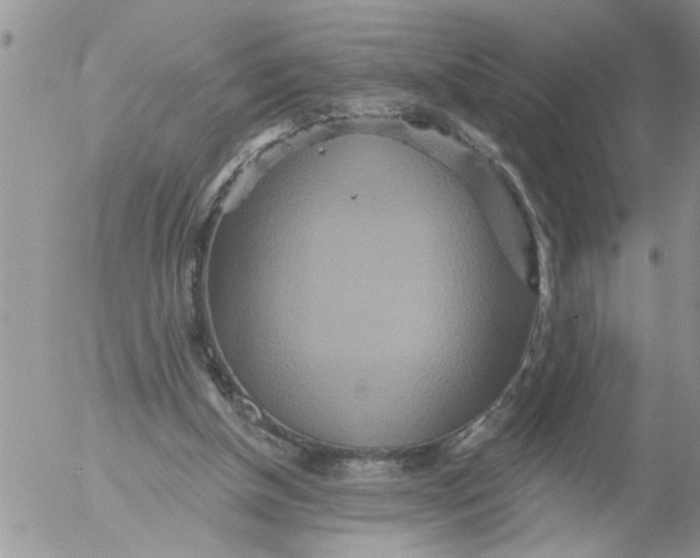 X0000053060154200508011923