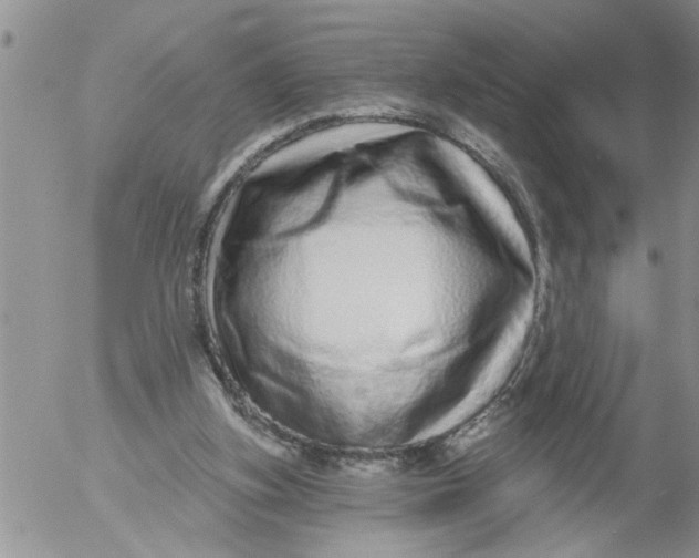 X0000053060155200508011923