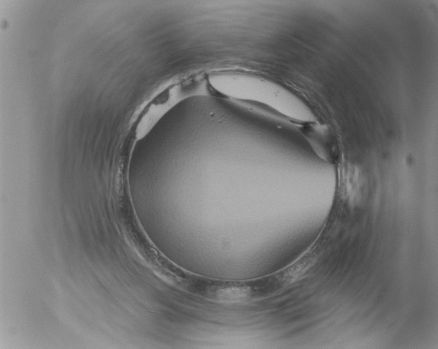 X0000053060156200508011923