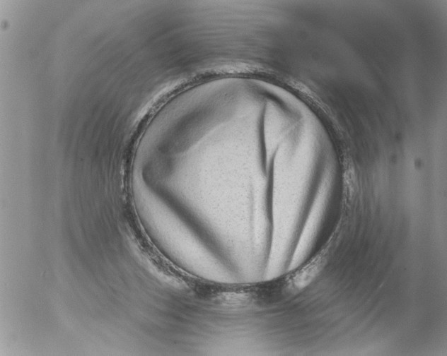 X0000053060159200508011923