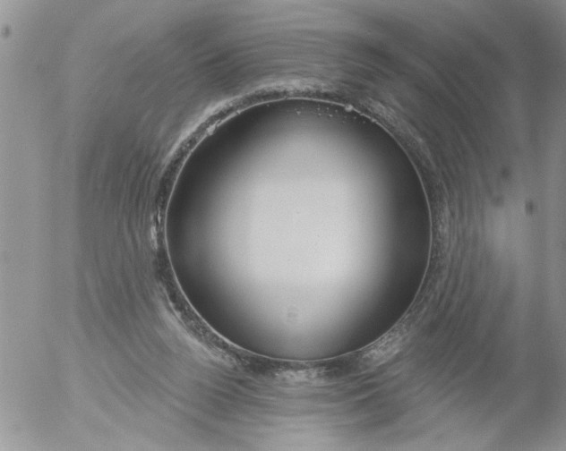 X0000053060160200508011923