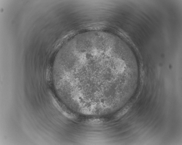 X0000053060161200508011923