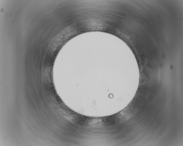 X0000053060162200508011923