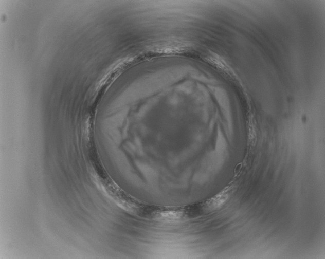 X0000053060163200508011923