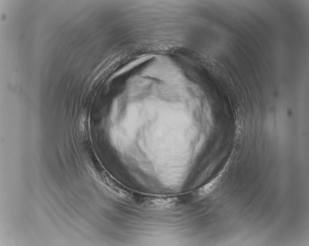 X0000053060166200508011923